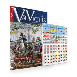 VaeVictis 176 - Game issue